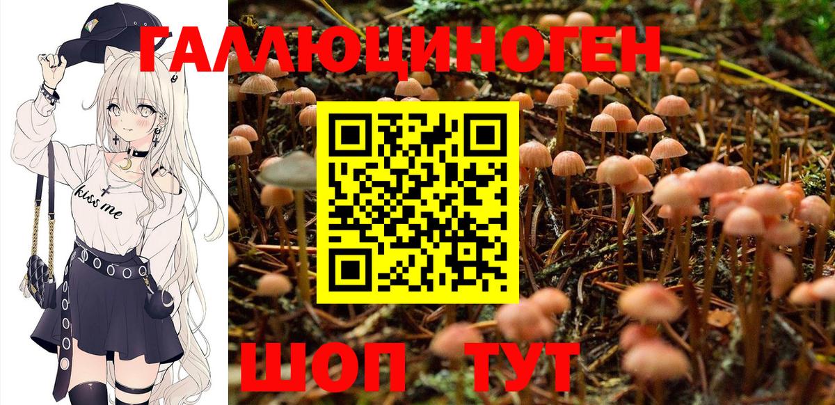 Галлюциногенные грибы мухоморы  Вход с VPN  хочу   Артём 