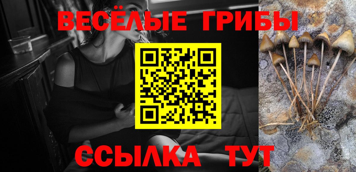 Галлюциногенные грибы MAGIC MUSHROOMS Артём